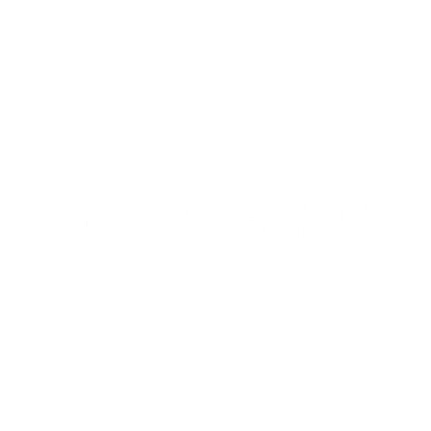 Vincent van Hees